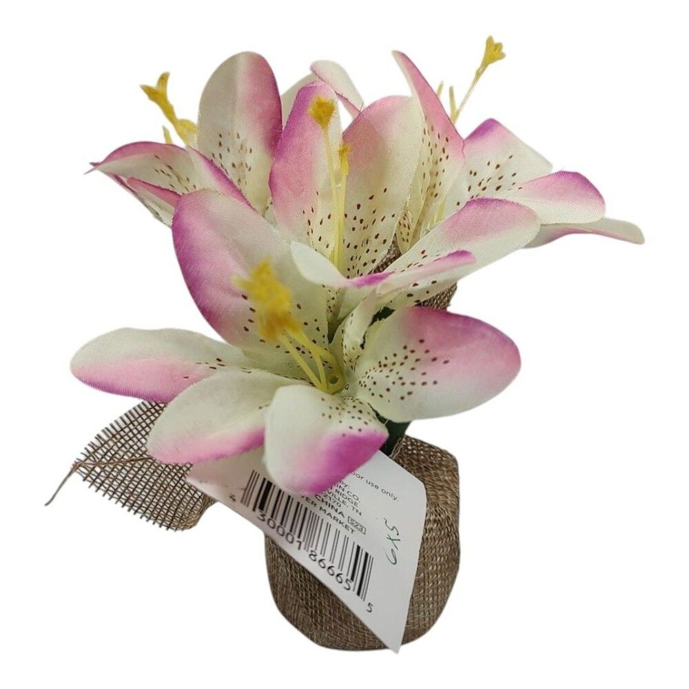 Trueliving Floral Arrangement Flower Bouquet Mini Potted Plant 6" x 5" Lily